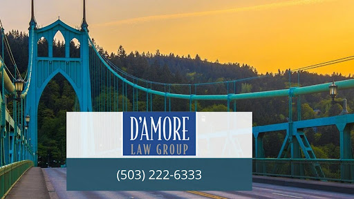 View D'Amore Law Group Reviews, Ratings and Testimonials