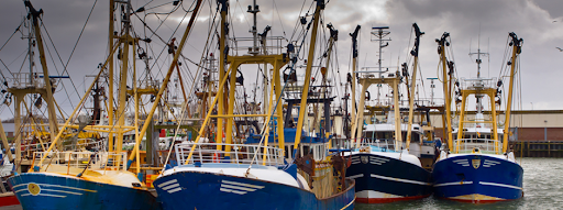 View Dann Sheffield & Associates, Maritime Lawyer, Jones Law, Personal Injury, Car Accident Lawyers Reviews, Ratings and Testimonials