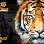 View Law Tigers Motorcycle Injury Lawyers - Ft Collins Reviews, Ratings and Testimonials