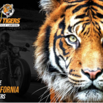 View Law Tigers Motorcycle Injury Lawyers - Sacramento Reviews, Ratings and Testimonials