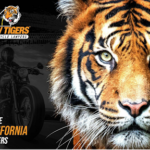 View Law Tigers Motorcycle Injury Lawyers - San Francisco Reviews, Ratings and Testimonials
