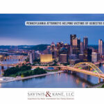 View Savinis, Kane, & Gallucci, LLC Reviews, Ratings and Testimonials