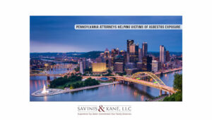 View Savinis, Kane, & Gallucci, LLC Reviews, Ratings and Testimonials