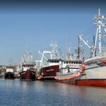 View Seattle Maritime Attorneys Reviews, Ratings and Testimonials